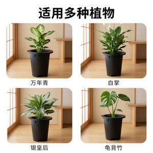Maceta de Plástico con Borde Ancho Aridoo Airi Shield, Transpirable y con Drenaje, para Plantas de Interior y Balcón - Product Image 4