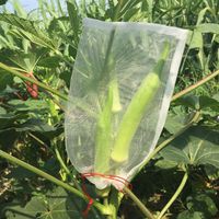 200 stuks nylon garen fruitbeschermingszakjes met trekkoord, eenvoudig te monteren, wit, 6 x 8 inch
