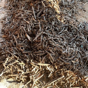 Cassia brisée pour assaisonnement de viande, épices et herbes, vente en gros, directement de l'usine, qualité économique, matière première, OEM - Product Image 3