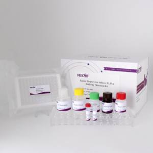Kit <span class=keywords><strong>ELISA</strong></span> indirect pour l'herpèsvirus équin |   <span class=keywords><strong>Test</strong></span> d'anticorps EHV-1/EHV-4 |   Kit de diagnostic vétérinaire 96T - Product Image 3