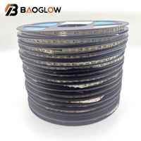 Bandes LED flexibles intelligentes 12V à intensité variable 3000K 6000K 10000K, guirlande lumineuse LED haute densité blanc chaud et froid 120 LED/m