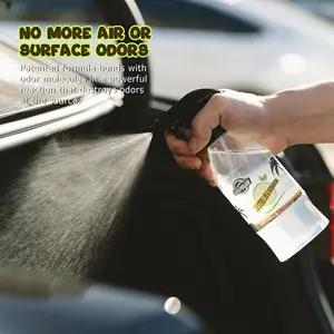 Autopolan nuovo Multi-Purpose Custom deodoranti per Auto profumo di più profumo Spray sterilizzatore & deodorante per Auto