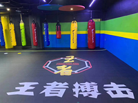 Tapis de judo directement de l'usine ; Tapis d'entraînement antidérapants personnalisés pour les écoles d'arts martiaux (Taekwondo, Sanda, Lutte)
