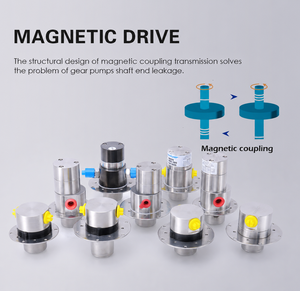 High-Pressure Low-Flow Stainless Steel Micro Magnetic Drive Gear Metering Pump Corrosion-Resistant Dosing Pump Motor Power - Product Image 5