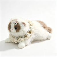 Peluche réaliste chat Ragdoll Ouyutang Chao, coussin réconfortant doux, poupée animale, cadeau unisexe, rembourrage en coton PP, décoration de chambre