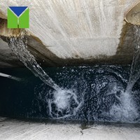 Station d'épuration intégrée de 700 m³/jour pour les eaux usées de l'industrie du palmier, projet réel en Côte d'Ivoire