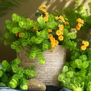 R072 sıcak satış yapay Lysimachia bitkiler ev düğün parti dekorasyon için çiçek düzenleme yapay bitkiler