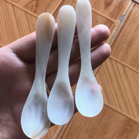 Cuillères à glace en coquillage naturel, cuillères à café et à caviar, cuillères à mélanger en nacre, cuillères à thé, outils de cuisine artisanaux