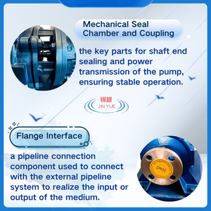 משאבה צנטריפוגלית אופקית עם יכולת התאמה כפולה לקירור וחימום, מפחיתה את עלויות הציוד להובלת מים קרים - Product Image 3