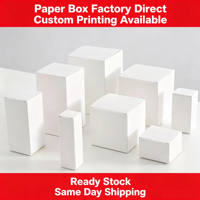 Boîtes d'expédition en carton ondulé écologiques de couleur personnalisée, forme avion, tailles sur mesure, pour sushis, nouilles, chips, avec gaufrage