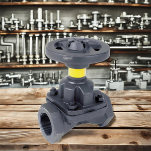 Diafragma de Hierro Fundido de 15 mm de Venta Directa de Fábrica, Capacidad 6 kg/cm, Conexión Roscada BSP para Uso Industrial - Product Image 5