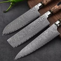 Ensemble de couteaux de cuisine en acier Damas, qualité supérieure, couteau de chef de luxe, couteau à découper avec de magnifiques manches