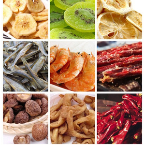 Máquina de secado de frutas con pantalla táctil, fabricación de alimentos para perros con secador - Product Image 4