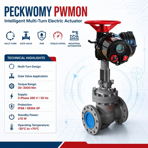 อุปกรณ์ควบคุมอัตโนมัติทางอุตสาหกรรม Peckwomy PWMON IP68 ตัวกระตุ้นอัจฉริยะแบบหมุนหลายรอบ ตัวกระตุ้นประตู - Product Image 1