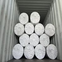 Géotextile non tissé en polyester 300g/m² pour la protection des pentes, la construction routière, le revêtement des barrages