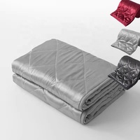 ÉCHANTILLON GRATUIT vente en gros de refroidissement d'été personnalisé satin de soie imité soulagement de l'anxiété couverture lestée personnalisée fournisseur de couette