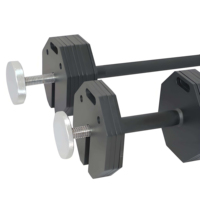 Haltère Octogonal Ajustable 3-en-1 DN 2kg en Acier Massif, Capacité Max 102KG, avec Vis Remplaçables et Plaques d'Extension, Construction Robuste