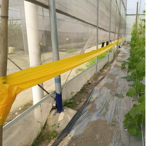 Rotolo di Nastro Adesivo per Insetti Volanti, Ecologico, Impermeabile, per il Controllo dei Parassiti in Agricoltura, Biadesivo, per Vespe e Insetti Volanti - Product Image 5