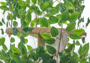 Albero di simulazione della torre di arrampicata per gatti relpet lussuoso stile naturale pianta gatto con foglie di legno - Product Image 6