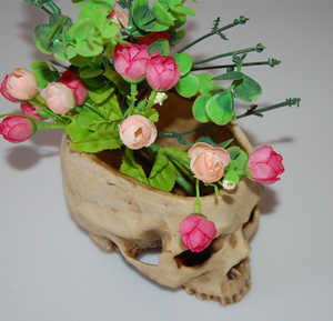 Nhà Sản Xuất Trực Tiếp Bán Buôn Nhựa Độc Đáo Halloween <span class=keywords><strong>Skull</strong></span> Quả Cầu Tuyết Cổ Tích Phong Cách Pha Lê Bóng Với Nổi Trang Trí Nội Thất Cho Nhà Quà Tặng - Product Image 5