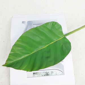 Foglia di materiale artificiale dell'unità di elaborazione singola foglia grande per la decorazione domestica foglie artificiali all'ingrosso dell'unità di elaborazione di alta qualità <span class=keywords><strong>in</strong></span> <span class=keywords><strong>vendita</strong></span> calda - Product Image 5