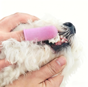 Brosse à dents pour animaux de compagnie en silicone souple, protège-doigts pour chats et chiens, soin des gencives, nettoyage des dents, 6 couleurs, facile à utiliser - Product Image 4