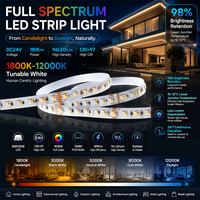 Bande lumineuse LED à spectre complet premium, orientée vers l'humain, RGBW, température de couleur réglable 1800K-12000K, DC24V, 96 LED/m, CRI élevé >97