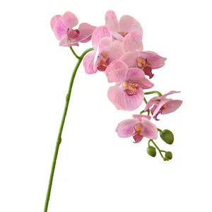 Kunstmatige Phalaenopsis Orchideeën Groothandel Zijde Vlinder Orchideeën Kunstbloemen Wit Blauw Real Touch Voor Thuis Bruiloft Decor