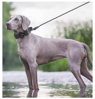 Beliebtes Taktisches Hundehalsband Anti-Zug Stoßfest Robustes Halsband für Mittelgroße und Große Hunde Outdoor-Spaziergänge und Training