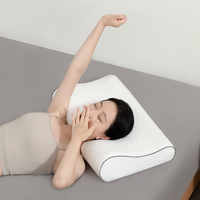 US Standard Queen King Size Polyester Out Cover Mold Oreiller de contour en mousse à mémoire de forme avec rouleau