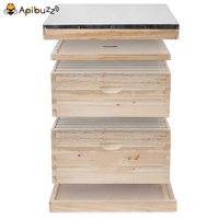 Cèdre — bois de pin 2 couches, 10 cadres, en bois de cèdre, Apiculture à la ruche, outils pour apiculteur