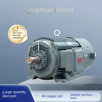 Motor de Control de Velocidad de Frecuencia Variable Trifásico Serie YE3VF de la Industria Wannan |   Eficiencia IE3 |   Bobina de Cobre Completa |   1500 rpm