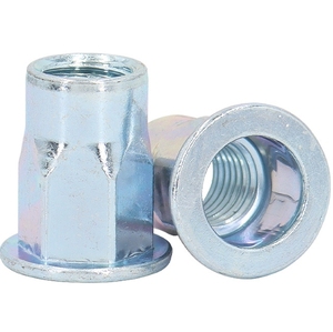 Lục giác đinh tán Nut/Đầu phẳng nửa Hex mù đinh tán Nut M8 thép đinh tán Metric thép carbon ren chèn nutsert - Product Image 4