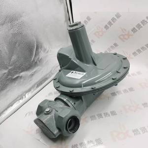 Réducteur de gaz EN334 DN50 AMCO ELSTER pour stock - Product Image 1