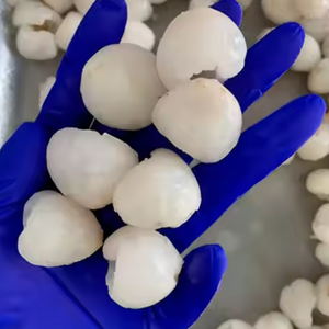 LYCHEE CONGELÉ EN VRAC: PEELÉ ET CONGELÉ, ENTIER ET TRANCHÉ, PULPE DE FRUITS DE LITCHI BIOLOGIQUE IQF, PRIX BON MARCHÉ, HAUTE QUALITÉ. - Product Image 1