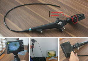 Équipement vétérinaire Endoscope ORL chirurgical animal flexible Endoscope portable chat-chien-cheval-oiseau Animal Nasopharyngoscope Endoscopie - Product Image 5