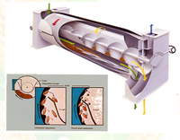 Nettoyeur-sécheur de graines de plantes à cylindre à rainures combiné, pour maïs, céréales, blé, graines de sésame, riz, nettoyage des impuretés, machines à laver