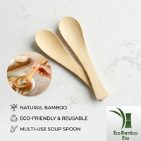 Cuillères en bambou de qualité alimentaire, approuvées FDA/LFGB/DGCCRF, jetables, écologiques, pour les événements de restauration