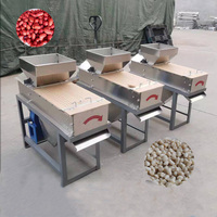 Machine électrique mini pour peler les cacahuètes à peau rouge, machine à peler les arachides, machine à torréfier et à peler les cacahuètes