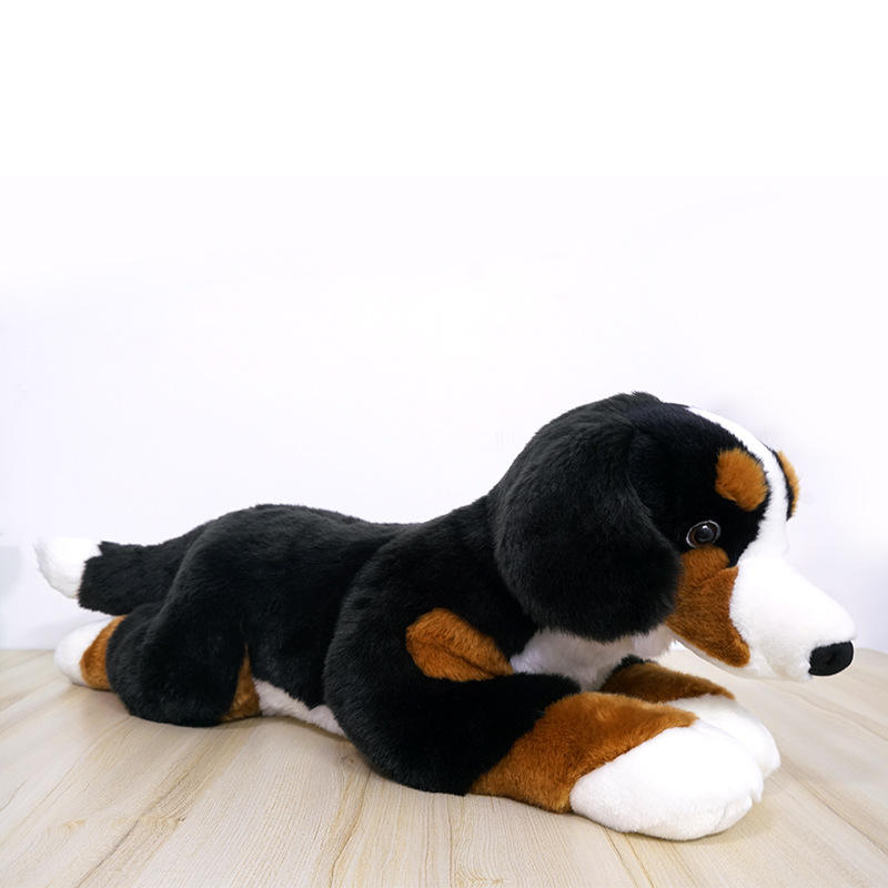 Chien de montagne Bourne