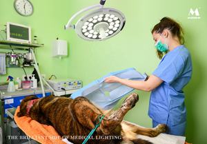 Luce chirurgica in testa JD1800L per il trapianto di capelli neurochirurgia e luci di funzionamento dentale - Product Image 5