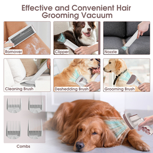 Patpet 2026, aspiradora recargable para mascotas, cortadora eléctrica, Kit de cepillo de aseo para pelo de perro, respetuoso con el medio ambiente - Product Image 3