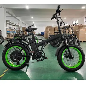 販売用自転車モーターバイクファットタイヤ大人1000W48V13AH20インチクールなFATタイプ電動自転車