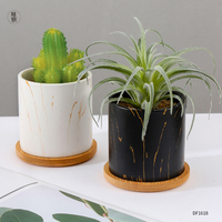 Mini pots en marbre personnalisé, de 3 pouces, plantes succulentes en céramique avec plateau en bambou