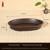 Pot de fleurs ovale peu profond en résine de grand calibre pour plantes succulentes, conteneur hydroponique non perforé pour jardin domestique et extérieur