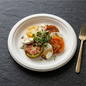Assiette en bagasse de canne à sucre biodégradable et écologique de 10 pouces, robuste, compostable, jetable, compatible micro-ondes, pour les fêtes - Product Image 6
