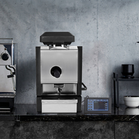 Torréfacteur à café électrique en acier inoxydable, petite machine à torréfier pour usage domestique et café