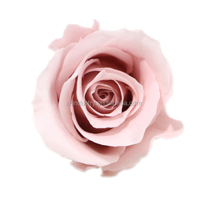 <span class=keywords><strong>Rosas</strong></span> <span class=keywords><strong>Preservadas</strong></span> <span class=keywords><strong>Mini</strong></span> al por Mayor de Fábrica de Kunming, <span class=keywords><strong>Rosas</strong></span> Eternas de Larga Duración Hechas con Flores Reales para el Día de San Valentín - Product Image 1