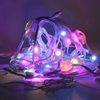 Luces LED Inteligentes Tuya WiFi RGBW con Cambio de Color IP67, Guirnalda de Luces para Aleros, Regulables, Decoración para Interiores y Exteriores del Hogar