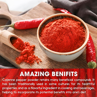 Poudre de piment rouge sec vendue directement d'usine, type de traitement brut pour entrepôt d'épices, procédé de séchage AD